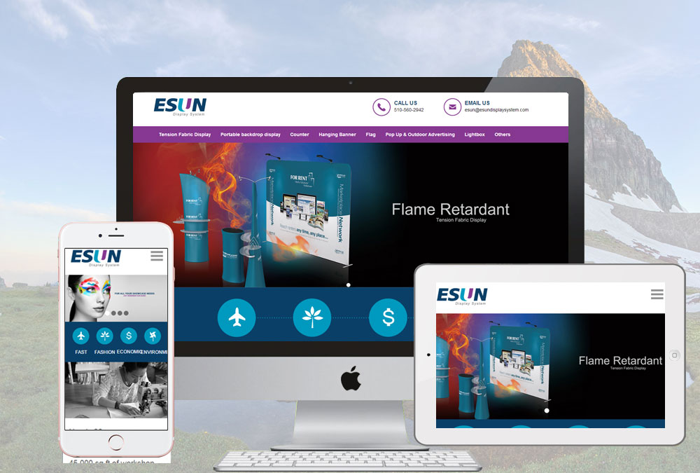 ESUN Display System
